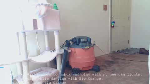 Nanna Baldur online show from 12.16.25