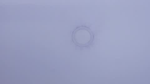 Maira online show from 02.03.25