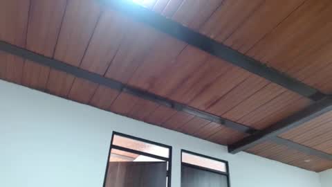 nath_dawson online show from 10.18.25