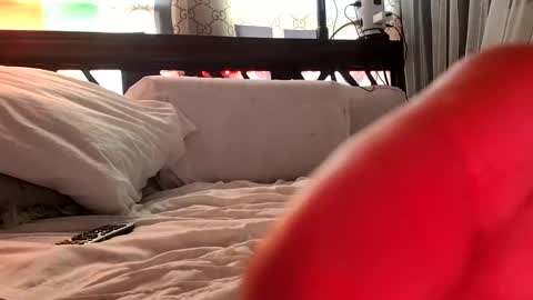 Haven online show from 02.03.25