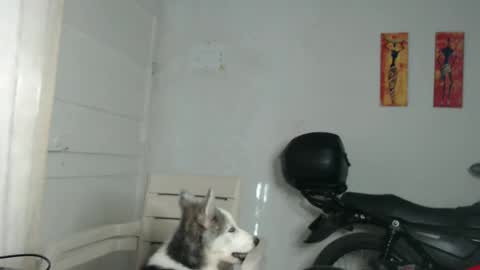 Snapshot of natzumi_mcqueen chatting on 12.31.24 Stella Mcqueen online show from 12.31.24