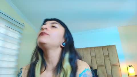 Kitten online show from 03.04.26