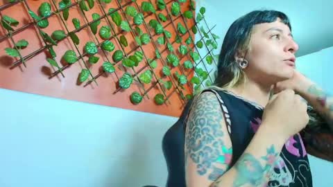 Kitten online show from 04.11.26