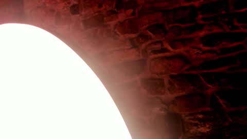 NEBULA  online show from 12.21.25