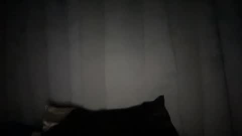 Snapshot of naughtyrosecum chatting on 01.06.25 Rose Wilson online show from 01.06.25
