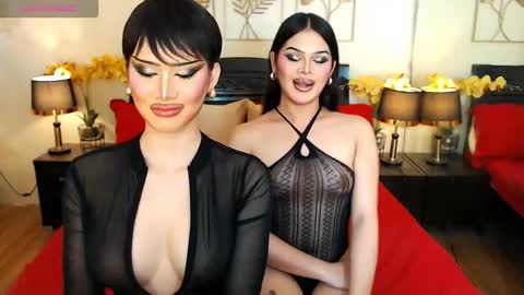 F R A N Z I A online show from 02.20.26