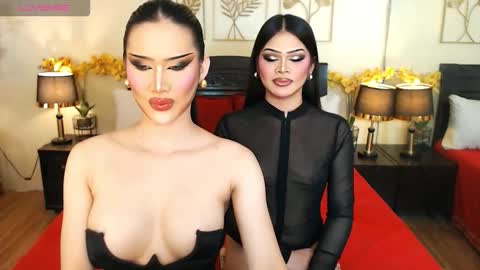 F R A N Z I A online show from 03.03.26