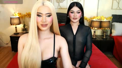 F R A N Z I A online show from 03.29.26