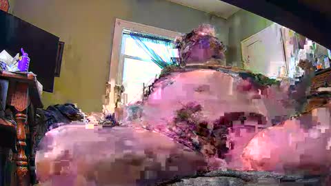 Snapshot of ndcowpoke chatting on 02.08.25 ND Cowpoke online show from 02.08.25