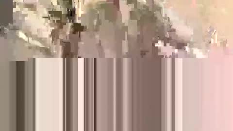 ndsckd online show from 09.12.25