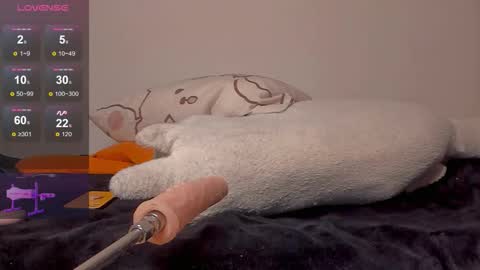 Neil online show from 02.07.26