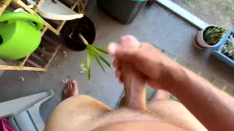 nellyd332169 online show from 01.07.26