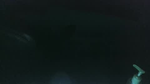 nelsonbucara online show from 03.08.25