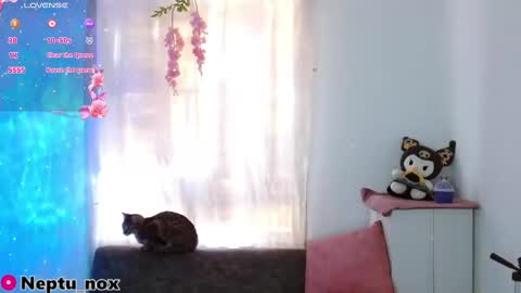 Neptu noxx online show from 01.31.25