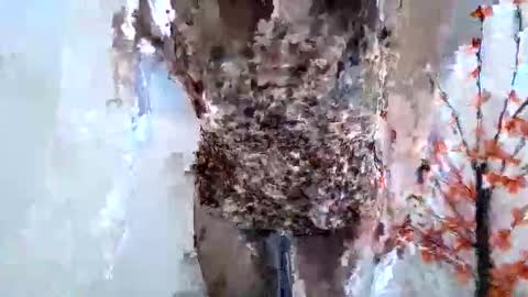 Snapshot of nerii11i chatting on 01.15.26 Crystal New online show from 01.15.26