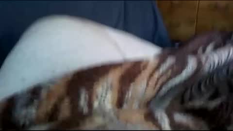 Matt online show from 12.01.24