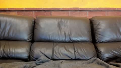 Snapshot of new_matilda chatting on 12.31.24 Matilda online show from 12.31.24