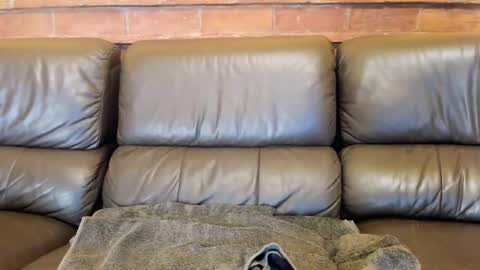 Matilda online show from 12.04.25