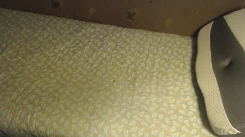 Lilly  online show from 10.20.25