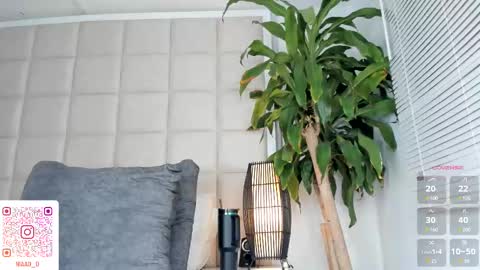 Nia online show from 03.12.25