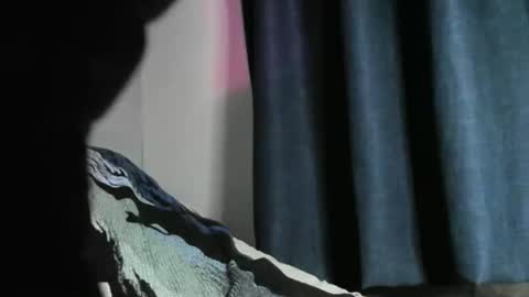 Snapshot of nicebbc7 chatting on 12.22.24 Black Tarzan online show from 12.22.24