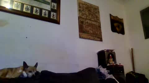 Snapshot of niceozziecockxxx chatting on 02.13.25 Sexiishaine online show from 02.13.25