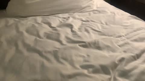 Snapshot of nickzoos3 chatting on 01.29.25 Nick Zoos online show from 01.29.25