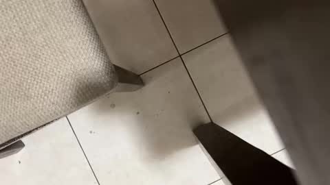 Carlos Nico online show from 03.02.26