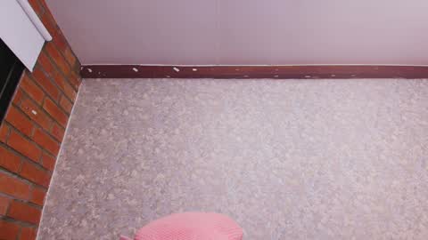 Nicol online show from 12.31.24