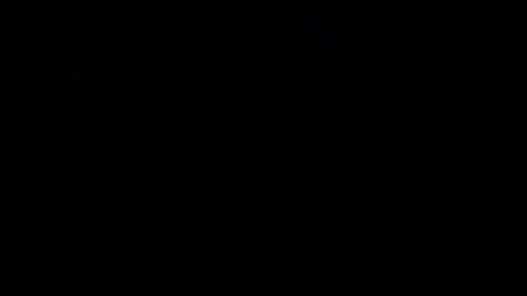 Snapshot of nicoleebon chatting on 09.29.25 Nicole online show from 09.29.25