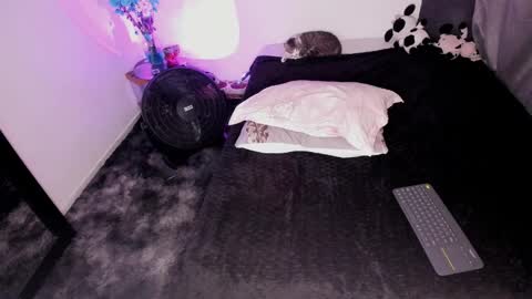 Nicol independent model online show from 02.03.25