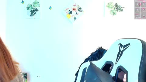 Nicol online show from 01.11.25