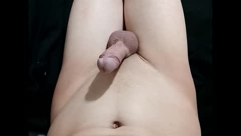 Snapshot of niicecockboi chatting on 04.02.26 niicecockboi online show from 04.02.26