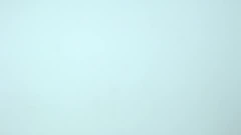 Nilly online show from 12.18.24