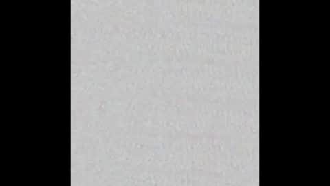 Nikki Ramone   online show from 01.04.25