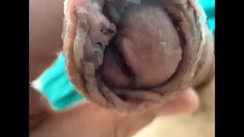 Nikolay online show from 04.22.26