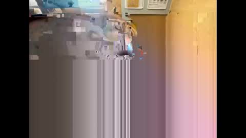 Nikolay online show from 05.12.26