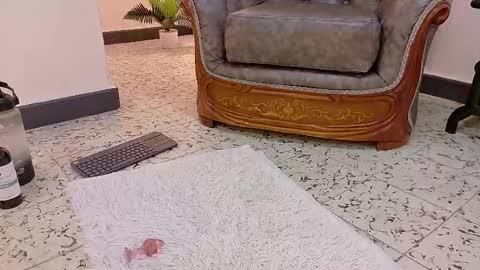  NIKY SMIT  online show from 02.16.25