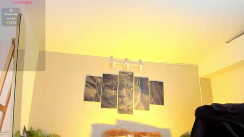 Snapshot of nils_saint chatting on 02.07.26 Nils online show from 02.07.26