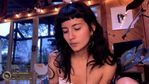 Nina.  online show from 02.22.26