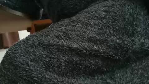 nineinchhard online show from 10.28.25