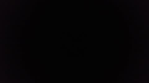 Ninjadance online show from 12.29.24