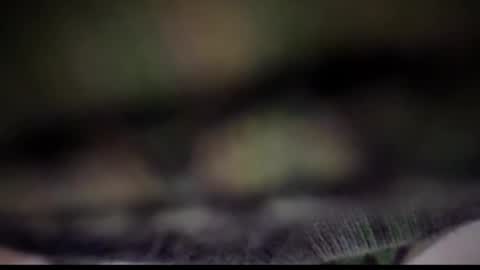 Snapshot of nloraaa chatting on 02.25.25 Tears Lora online show from 02.25.25