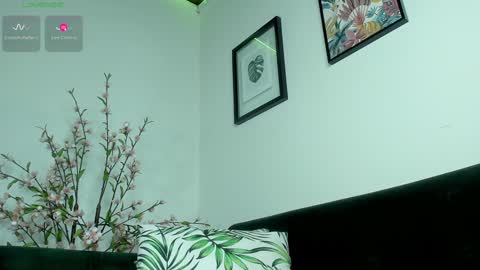 Snapshot of noah_devil chatting on 01.27.25 Noah online show from 01.27.25