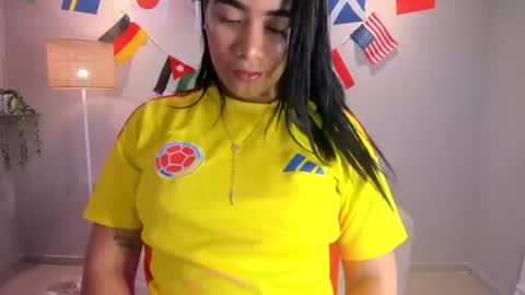 Snapshot of noah_owenss chatting on 06.17.26 Noemy online show from 06.17.26