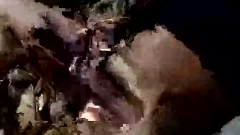 Snapshot of nocturnus1980 chatting on 09.10.25 nocturnus1980 online show from 09.10.25