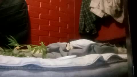 Snapshot of nocturnus1980 chatting on 09.23.25 nocturnus1980 online show from 09.23.25