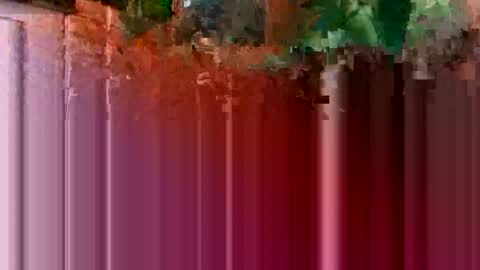 nocturnus1980 online show from 01.16.26