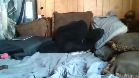 Noliana online show from 11.24.25