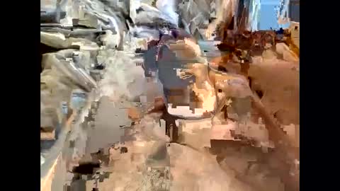 nolplus online show from 03.07.25